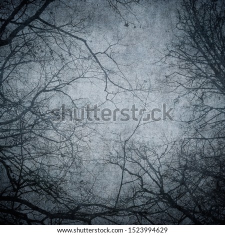 Foto Bild Fog Nebel Baum