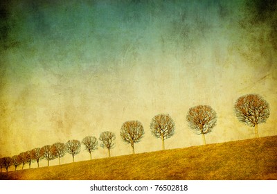 452,456 Old Age Tree Images, Stock Photos & Vectors 