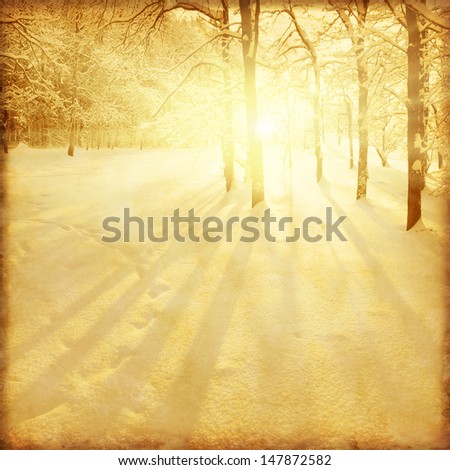 Similar – Foto Bild Wintersonne Natur