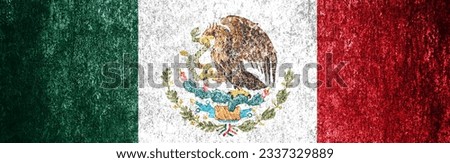 Grunge mexican flag close up. Banner of dirty flag of Mexico on a metal surface.