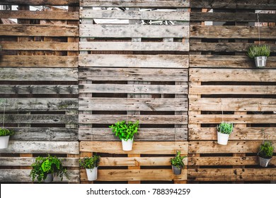 grunge texture copy space green thumb pallets wooden background  