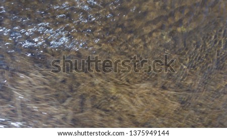 Grunge Texture for design