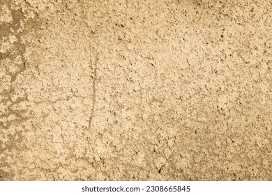 Grunge texture. Stucco wall with crack background.