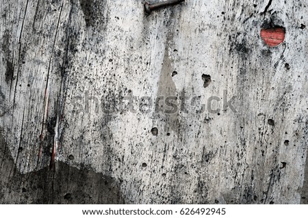 Similar – Image, Stock Photo Pale Fading Nature Plant
