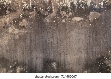 Grunge wall texture background. Highly detailed textured background. Perfect background spaced. 