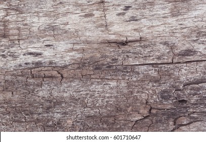 A grunge wood texture.