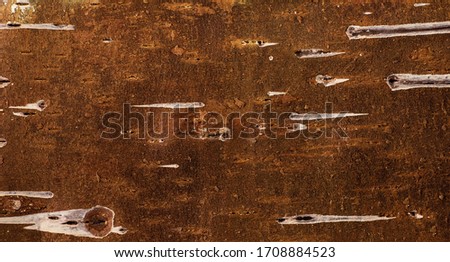 Grungetexture of the tree bark on the inside, a wall made of wood and wood-colored fibers with rusty shades, building material for interior decoration and decoration