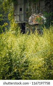 Grungy abandoned basketball hoop with overgrown weeds on farm silo