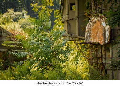 Grungy abandoned basketball hoop with overgrown weeds on farm silo
