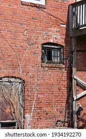 Grungy Abandoned Weathered Textured Brick Warehouse Or Section 8 Housing Community Building, With A Busted Out Caged Window Falling Apart And Overgrown Vines.