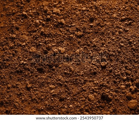 Grungy old blank bad wet distress dark red thirst turf terra path way text space. Close up top detail macro view broken dry mire clod eco waste fertile plant thirsty barren steppe famine desert lawn