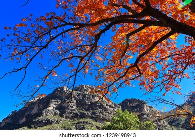 Guadalupe Mountains National Park