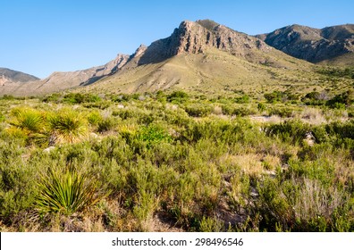 Guadalupe Mountains National Park