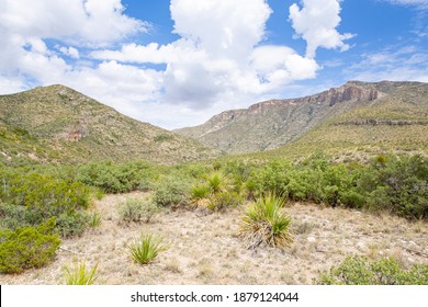 Guadalupe Mountains National Park In Texas, USA