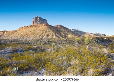 Guadalupe Mountains National Park, Texas