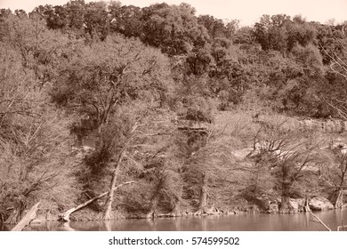 Guadalupe River State Park 