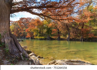 Guadalupe River State Park Fall Colors In Spring Branch, Texas