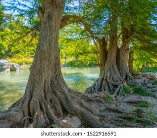 Guadalupe River State Park In Texas