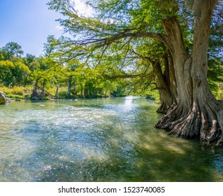 Guadalupe River State Park In Texas