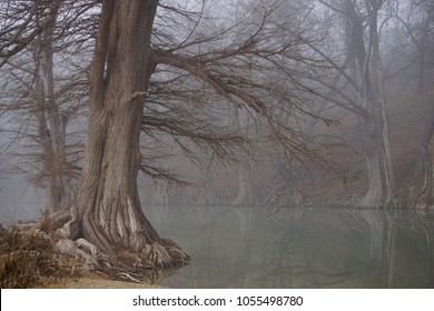 Guadalupe River, Texas 