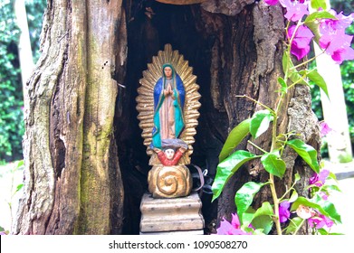 Guadalupe Virgin in a tree