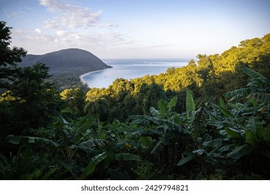 Guadeloupe, a Caribbean island in the French Antilles. View of the sandy beach of Guadeloupe. Caribbean vacation landscape. Grande Anse beach on the island of Basse-Terre. A secluded bay. - Powered by Shutterstock