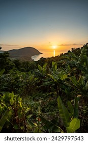 Guadeloupe, a Caribbean island in the French Antilles. Landscape and view from a mountain of the Grande Anse beach on Basse-Terre. A secluded bay, lots of nature and mangroves, at sunrise.