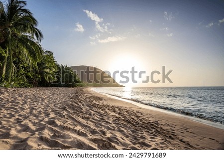 Guadeloupe, a Caribbean island in the French Antilles. View over Grande Anse beach. Lonely bay, feet in the sand and looking out to sea at sunset. Landscape shot of a tropical dream, waves, palm trees
