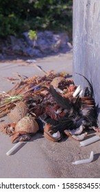 GUADELOUPE - FEBRUARY, 2019 : Remaining Part Of A Voodoo Ceremony