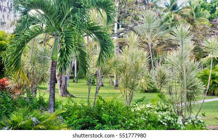 Guadeloupe, Sainte Anne, France - May 7 2010 : A Picturesque Garden