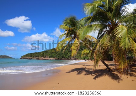 Guadeloupe sandy beach. Caribbean vacation landscape. Perle Beach (Plage de la Perle).