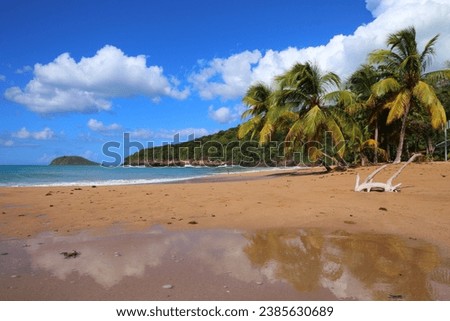 Guadeloupe sandy beach. Caribbean vacation landscape. Perle Beach (Plage de la Perle). Basse-Terre island.