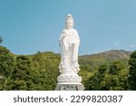 Guan Yin, Goddess of Mercy, standing peacefully in Tsz Shan Monastery - the most beautiful monastery in Hong Kong. 