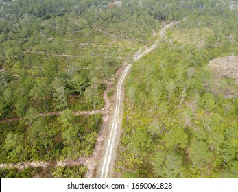 Guana Reserve Trail In Ponte Vedra Beach, Florida