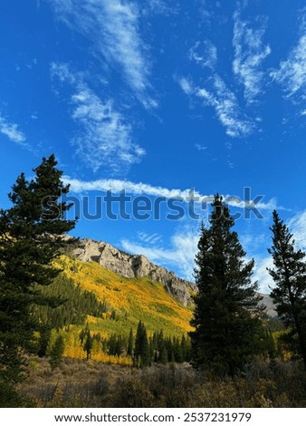 Guanella pass in the fall, colorado fall foliage.