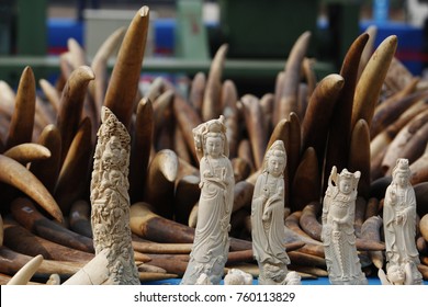 GUANGZHOU, CHINA - JAN. 6. 2014: Chinese Police and Customs officers destroy confiscated ivory.