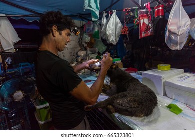 GUANGZHOU, CHINA - JUNE 22. 2017 - Volunteer Veterinarians Treat Sick And Wounded Dogs Rescued From A Truck Heading Towards The Yulin Dog Meat Festival In The Improvised Shelter.