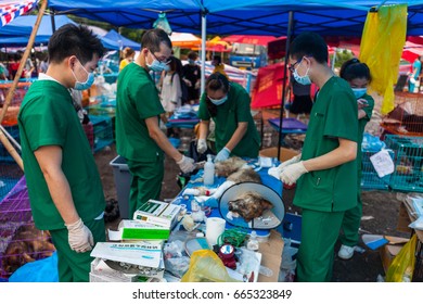 GUANGZHOU, CHINA - JUNE 22. 2017 - Volunteer Veterinarians Treat Sick And Wounded Dogs Rescued From A Truck Heading Towards The Yulin Dog Meat Festival In The Improvised Shelter.