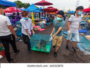 GUANGZHOU, CHINA - JUNE 22. 2017 - Volunteer Veterinarians Treat Sick And Wounded Dogs Rescued From A Truck Heading Towards The Yulin Dog Meat Festival In The Improvised Shelter.