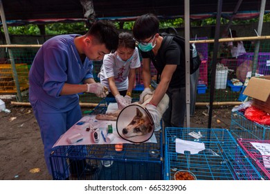 GUANGZHOU, CHINA - JUNE 22. 2017 - Volunteer Veterinarians Treat Sick And Wounded Dogs Rescued From A Truck Heading Towards The Yulin Dog Meat Festival In The Improvised Shelter.