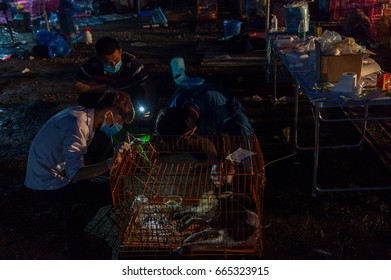 GUANGZHOU, CHINA - JUNE 22. 2017 - Volunteer Veterinarians Treat Sick And Wounded Dogs Rescued From A Truck Heading Towards The Yulin Dog Meat Festival In The Improvised Shelter.