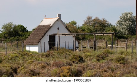 Guardian's House In The Camargue In The South Of France. White House With Heather Roof. Wilderness With Samphire And Tamarisk. Summer Blue Sky