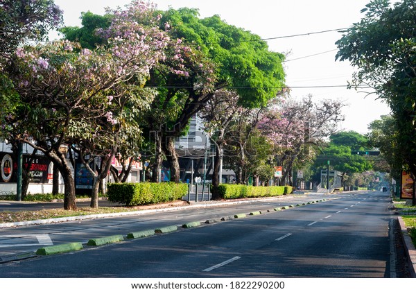 Guatemala City, July 21, 2020.\
Lonely streets in Latin America due to COVID-19 pandemic mobility\
restrictions, economic impact, health and tourism.\
EDITORIAL.