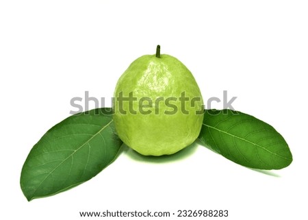 Guava. Fresh green fruit.  Sweet taste and leaves. Isolated on a white background