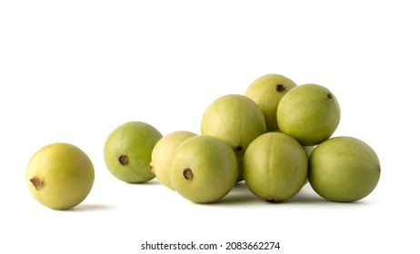 605 Benefits of guava fruit Images, Stock Photos & Vectors | Shutterstock