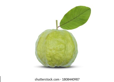 Guava isolated on white background with clipping path