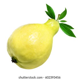 Guava Isolated On White Background