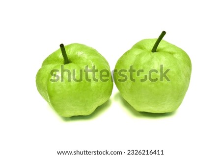 Guava.Fresh green fruit.Sweet taste.Crunchy.Leafless.On a white background