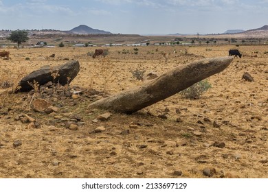 Gudit Stelae Field In Axum, Ethiopia