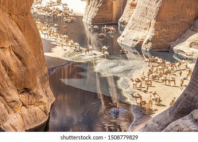 The Guelta D'Archei Gorge Located In The Ennedi Plateau, Chad, Africa